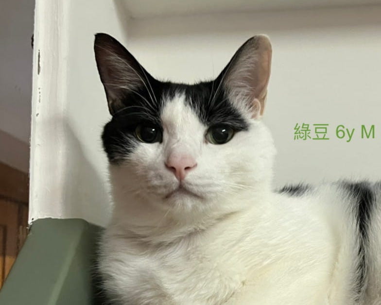 案件0002照片
